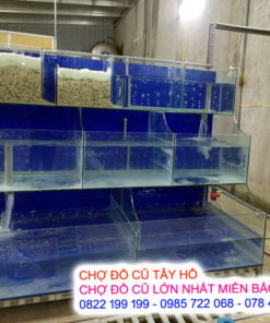 Bể Cá Hải Sản 3 Tầng