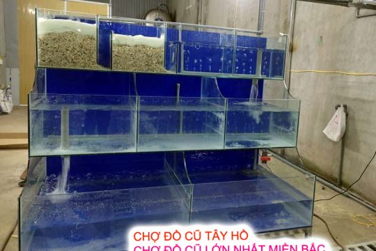 Tổng Hợp Thông Tin Về Bể Hải Sản 2 Tổng Hợp Thông Tin Về Bể Hải Sản