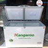 Thanh Lý Tủ Đông Kangaroo Giá Rẻ
